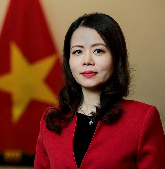 Tân Thứ trưởng Bộ Ngoại giao Nguyễn Minh Hằng. Ảnh VGP