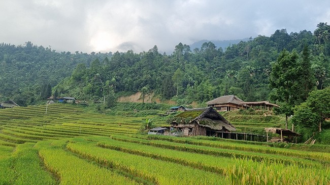Những mái nhà rêu có một không hai tại bản người Dao bên sườn Tây Côn Lĩnh - 4