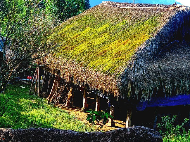 Những mái nhà rêu có một không hai tại bản người Dao bên sườn Tây Côn Lĩnh - 10