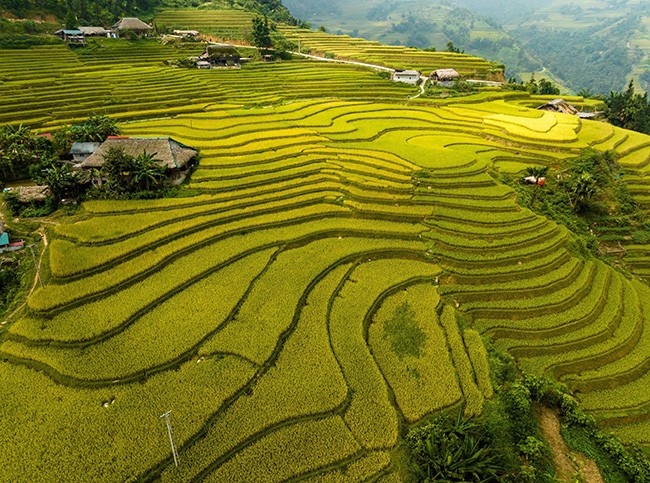 Những mái nhà rêu có một không hai tại bản người Dao bên sườn Tây Côn Lĩnh - 6