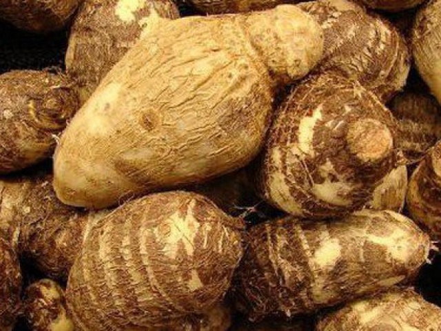 Sức khỏe đời sống - Khoai sọ không chỉ ăn ngon còn là vị thuốc