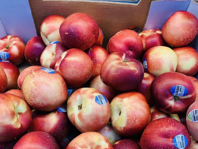 Ẩm thực - 8 thực phẩm giúp tăng cường khả năng miễn dịch