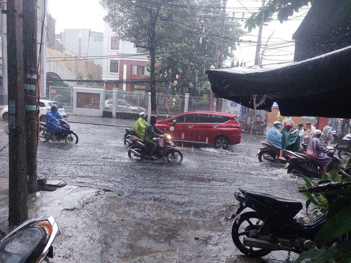 Đây là tình trạng chung của nhiều tuyến đường nội thành Đà Nẵng như Hoàng Diệu, Nguyễn Hoàng, Phan Châu Trinh, Trưng Nữ Vương, Nguyễn Văn Linh,...