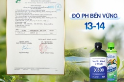 4 điểm ưu việt làm nên sự khác biệt của nước kiềm thảo dược