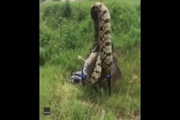 Phi thường - kỳ quặc - Clip: Vừa kéo cần câu lên, nam cần thủ "choáng váng" khi nhìn thấy vật thể lạ