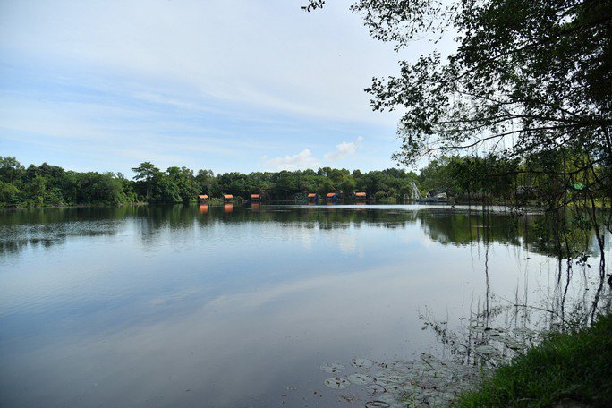 Hồ nước Công viên Văn hóa An Hòa được cho là nơi những con cá sấu sổng chuồng đang ẩn nấp