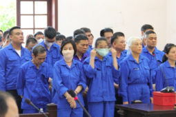 Pháp luật - Tòa bất ngờ tạm dừng xét xử anh em đại gia 'lan đột biến'