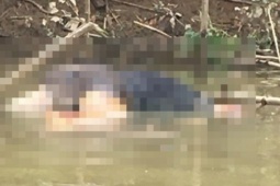 An ninh - Xã hội - Tìm tung tích thi thể nam giới xăm hình bọ cạp