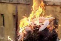 Tin tức trong ngày - Hình ảnh đau nhói bên "ma trận" tận diệt chim trời: Kiểm tra hiện trường có gì?