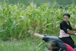 Phim - Thiếu gia phố núi siêu giàu "gây sốt" với đoạn clip "bắt vợ" hóa ra là gương mặt quen thuộc này