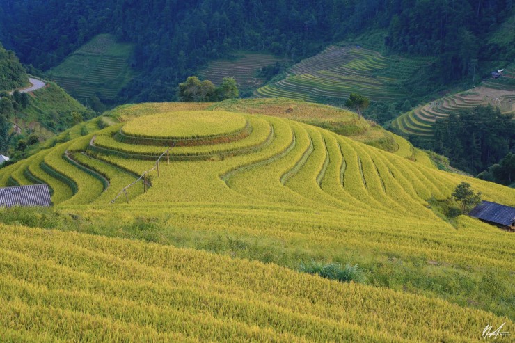 Điểm thu hút khách du lịch nhất là di tích quốc gia đặc biệt ruộng bậc thang Mù Cang Chải, một kiệt tác về nghệ thuật canh tác trên đất dốc. Địa danh này được nhiều tạp chí du lịch trong nước và quốc tế nhận định trở thành một trong những điểm đến rực rỡ nhất thế giới (Ảnh: Tuấn Anh).