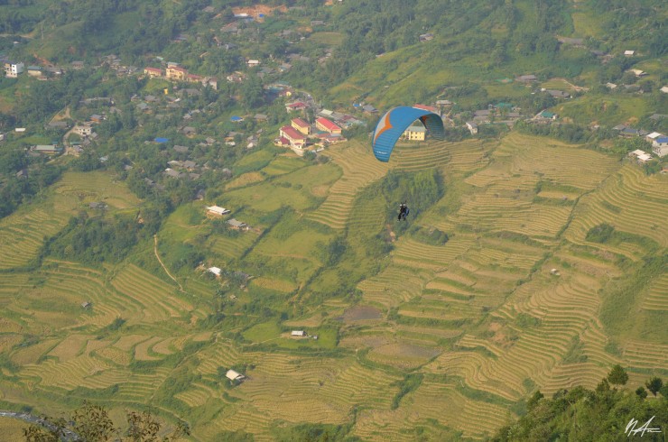 Trải nghiệm dù lượn ngắm toàn cảnh ruộng bậc thang khiến nhiều du khách phấn khích (Ảnh: Tuấn Anh).