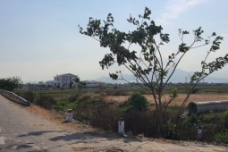 Tin tức trong ngày - Ủy ban huyện kháng cáo sau khi thua kiện vụ hủy quyết định chuyển mục đích sử dụng đất