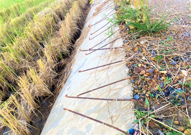 Phần thân đê được thi công nham nhở rồi bỏ không.