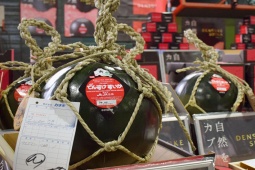 Thị trường - Tiêu dùng - Ngỡ ngàng loại quả "đen vỏ đỏ lòng" giá hàng trăm triệu mỗi quả, không phải có tiền là mua được