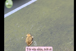 Clip hài hước - Khoảnh khắc xấu hổ muốn độn thổ của người cận thị