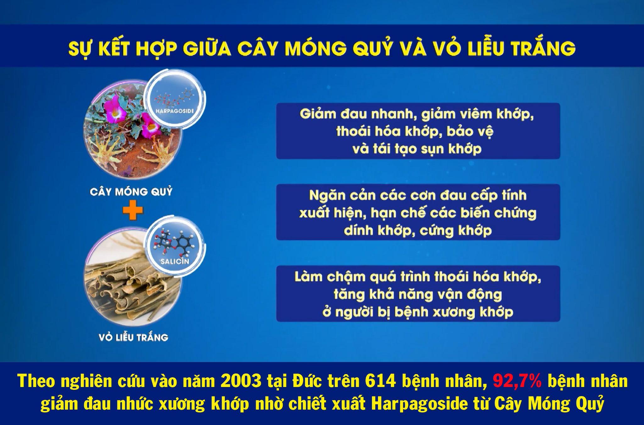 Bộ đôi thảo dược quý Cây Móng Quỷ - Vỏ Liễu Trắng hỗ trợ điều trị bệnh thoái hóa cột sống cổ