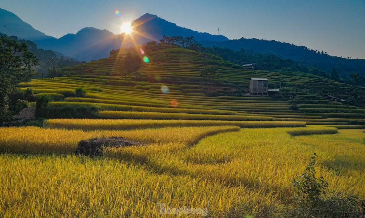 Nhiều du khách khi đến Nấm Dẩn đã phải thốt lên rằng, mùa Thu đã khiến Nấm Dẩn bỗng chốc biến hóa thành nàng sơn nữ kiều diễm , lung linh sắc màu và đây được coi là một trong những tọa độ check-in ruộng bậc thang đẹp nhất Hà Giang.