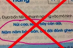 Giáo dục - du học - Lan truyền tin giả về ngữ liệu sách giáo khoa: Bộ GD-ĐT nói gì?