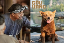 Phim - "Đất rừng phương Nam" và loạt phim này, vì sao lại gây tranh cãi?