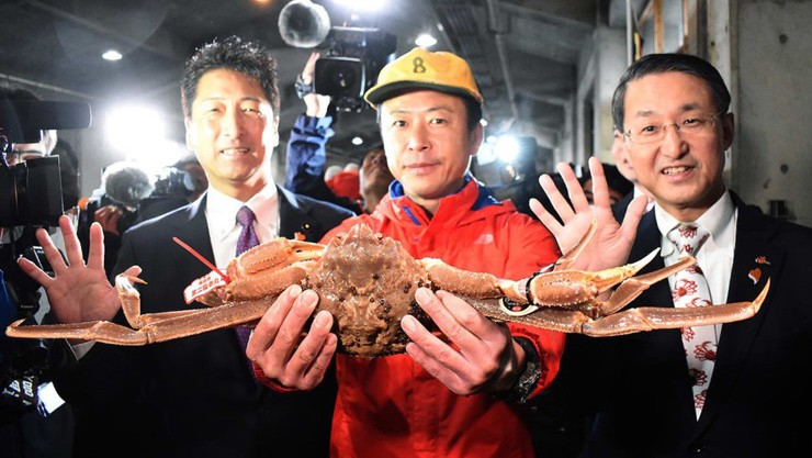 Trong phiên đấu giá tại chợ hải sản ở tỉnh Tottori đầu tháng 11/2019, một con cua tuyết đã được bán với giá 5 triệu yên (hơn 1 tỷ đồng).
