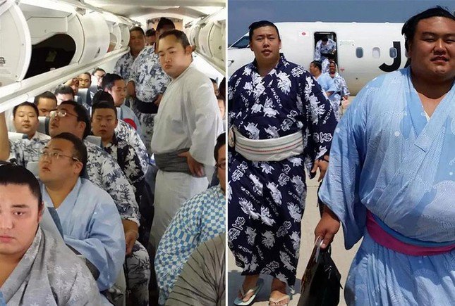 Chở số lượng lớn sumo khiến hãng bay Nhật Bản lo ngại vấn đề không đủ nhiên liệu.
