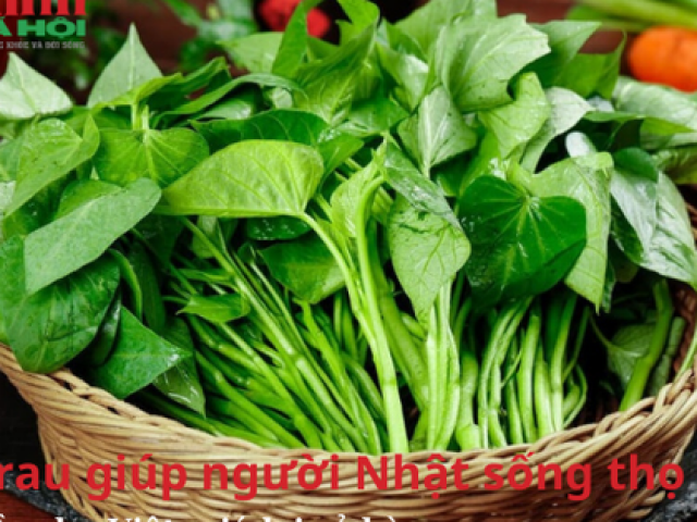 Loại rau giúp người Nhật sống thọ, bán đầy chợ Việt, giá lại rẻ bèo