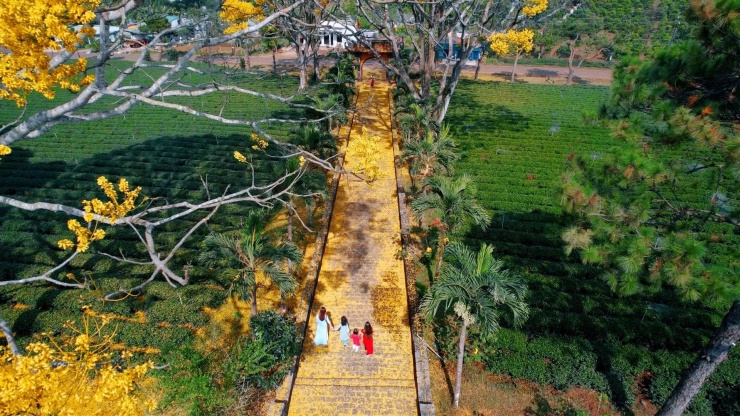 Người ngày lễ, ngày rằm, đặc biệt là đầu năm mới, du khách khắp nơi về Tu viện Bát Nhã, nơi được xem là tu viện đẹp nhất TP.Bảo Lộc (tỉnh Lâm Đồng), để đi lễ chùa, thưởng ngoạn cảnh đẹp nơi đây.