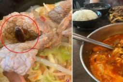 Cô gái tá hỏa khi phát hiện con gián trong bát canh ở trung tâm thương mại