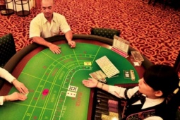 Chủ casino lớn nhất Quảng Ninh báo lỗ quý thứ 16