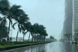 Tin tức trong ngày - Diễn biến mới nhất của bão số 5