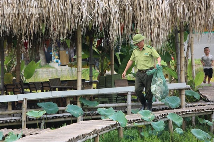 Bẫy "tàn sát" chim trời tái diễn tràn lan trên các cánh đồng ở Thanh Hóa - 14