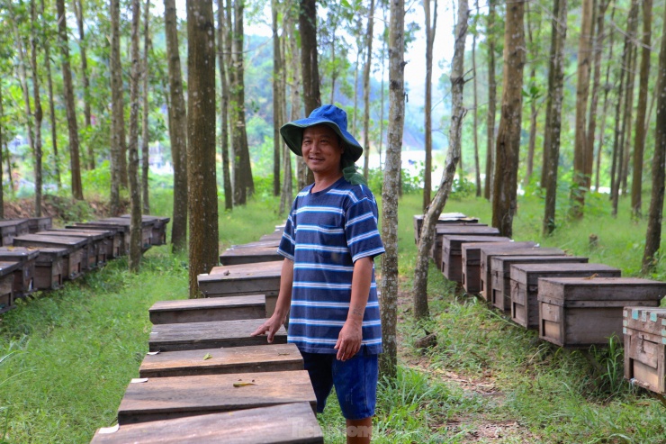 Đến mùa hoa, những người nuôi ong du mục lại vượt cả ngàn km để đến vùng đất mới chăn ong. Họ cần mẫn, lặng lẽ dâng cho đời hương thơm mật ngọt, thứ quà tặng tinh khiết nhất của tự nhiên.