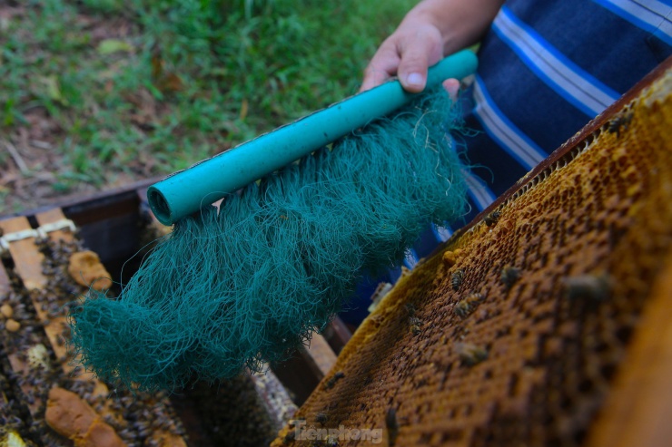 Nghề chăn ong du mục - 9