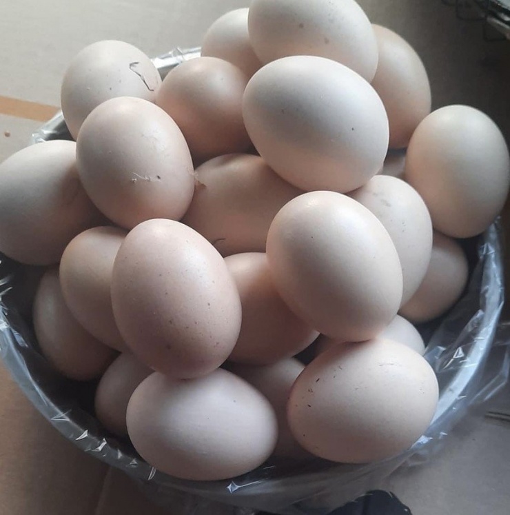 Trứng có thể hỗ trợ sự tăng trưởng của tiểu cầu vì nó giàu protein. Ảnh: PHƯƠNG LÊ.