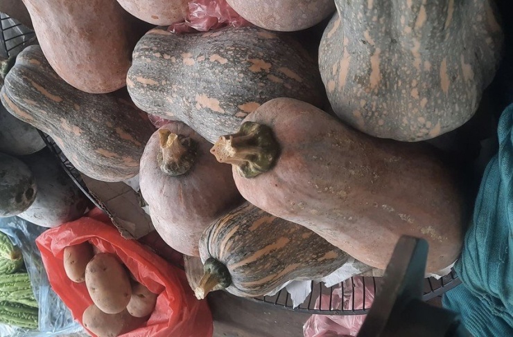 Bí ngô giàu vitamin A, C và E, chúng có lợi trong việc thúc đẩy sản xuất tiểu cầu. Ảnh: PHƯƠNG LÊ.