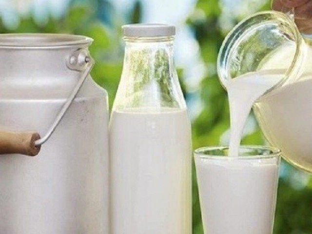 Ẩm thực - Uống loại sữa này, nhiều người sống lâu đến 100 tuổi