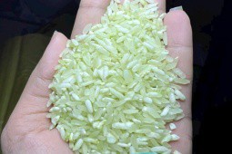 Loại gạo có màu lạ hút khách, dân buôn vừa đăng bán đã “cháy” hàng