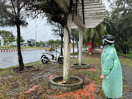 Nhân viên Công ty Công viên - Cây xanh TP Đà Nẵng kiểm tra gốc cây bị cưa trộm tại đường Nguyễn Tất Thành