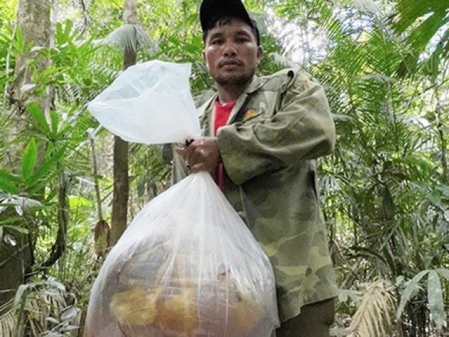 Săn “lộc rừng” ở đại ngàn Trường Sơn