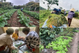 Kinh doanh - "Vỡ mộng" sau 3 năm bỏ thu nhập hơn 20 triệu đồng/tháng ở phố để về quê