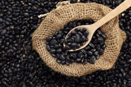 Media - Vì sao đậu đen giúp ngừa ung thư, cực tốt cho sức khỏe?