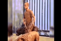 Clip hài hước - Tình cảnh dở khóc dở cười chỉ người nuôi chó mới hiểu