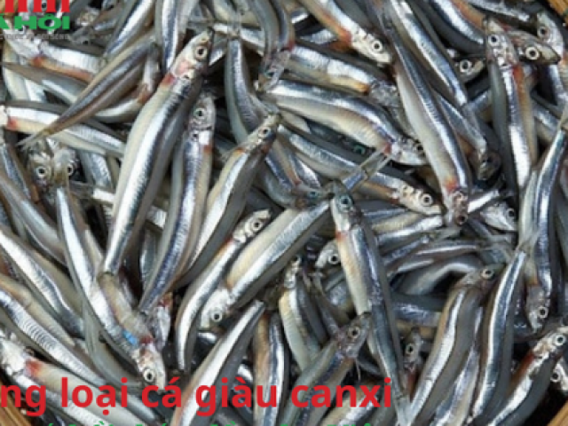 Những loại cá giàu canxi, rẻ hơn cá hồi, bán đầy chợ Việt