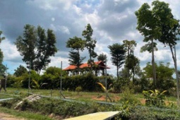 Pháp luật - Giang hồ Thảo "lụi" - từ ẩn số tới đáp số (*): Ngang nhiên giành đất