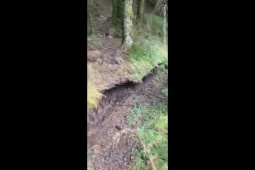 Phi thường - kỳ quặc - Clip: Người đàn ông gặp cảnh tượng kỳ quái khi dắt chó đi dạo