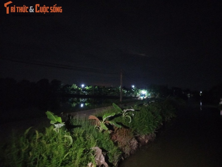 Những ngày tháng 9 âm lịch, người dân xã An Thanh (huyện Tứ Kỳ, tỉnh Hải Dương) lại cùng nhau thức đêm, mang theo đèn pin ra ruộng thu hoạch con rươi, một loại đặc sản mà thiên nhiên ban tặng cho vùng đất này.