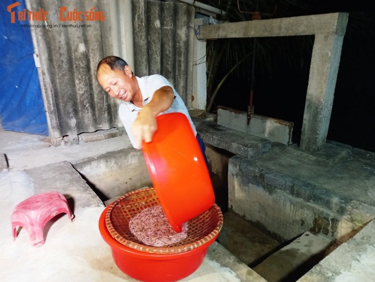 Mẻ lưới đầu tiên anh Dĩnh đã thu được khoảng 3kg.