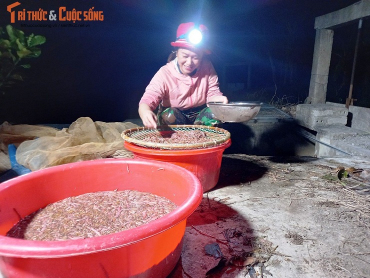 Niềm vui của chị Đoan với số lượng rươi thu hoạch được.