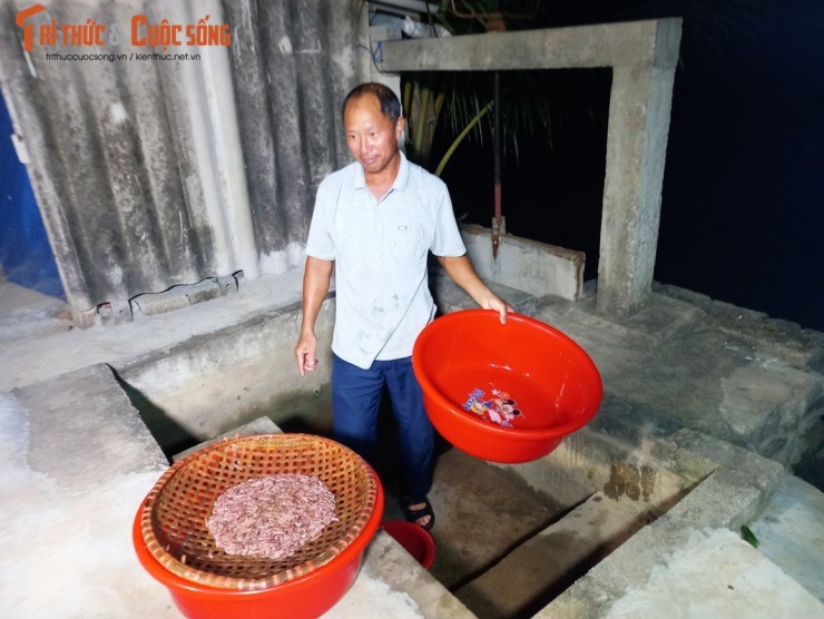 Rươi từ lưới sẽ được đổ vào trong rổ để rửa và nhặt tạp chất. Sau đó, chúng sẽ được đổ lên một chiếc sàng tre mắt to. Sau đó, những con rươi sẽ lọt qua mắt sàng rơi xuống những chiếc chậu để bên dưới. Cứ khoảng 20 phút, thấy lưới hơi nặng anh Dĩnh lại nhấc rươi lên đổ vào chiếc rổ. Khoảng gần 21h anh đã thu hoạch được hơn 10kg rươi.